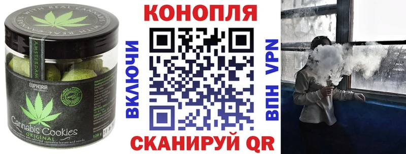 где купить наркоту  Лосино-Петровский  это клад  Canna-Cookies конопля 