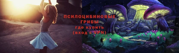 тгк Россошь