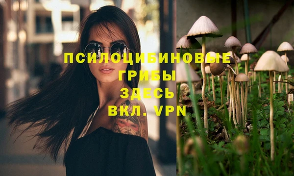 бошки Баксан